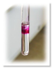Esterhydrolyse2
