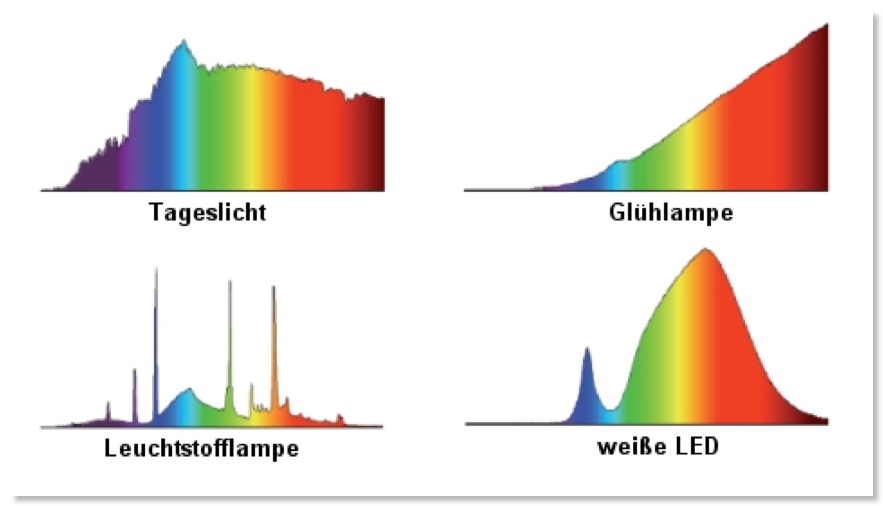 LED-Weiß-2